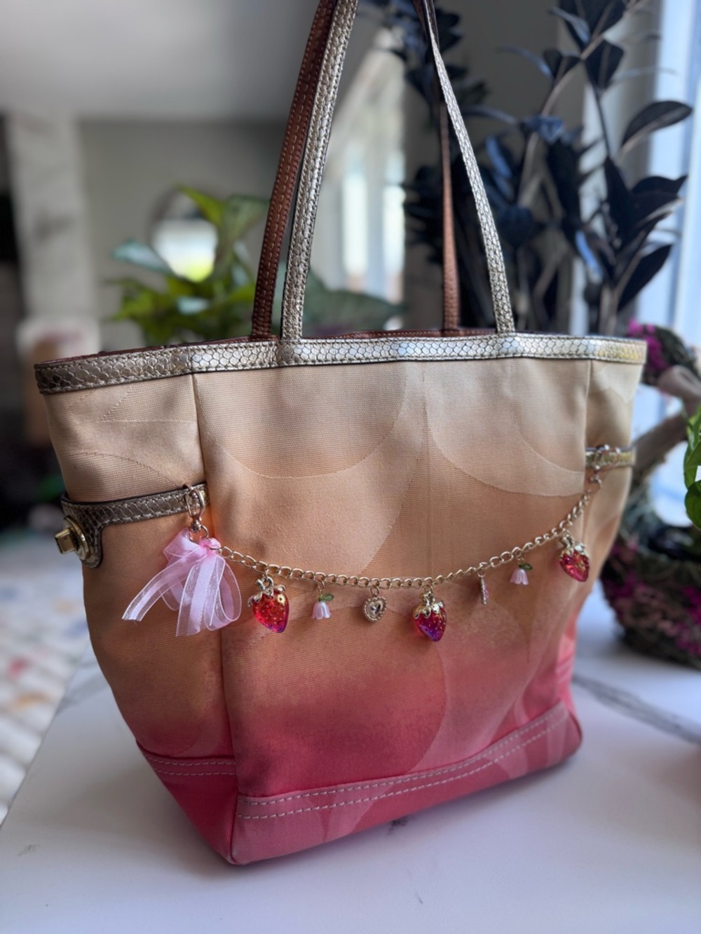 Coach Ombré Limited Edition Purse